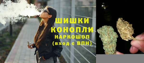 гашик Богородицк