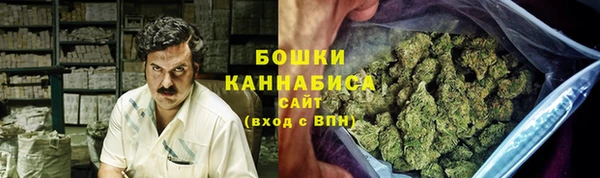 ешки Бронницы