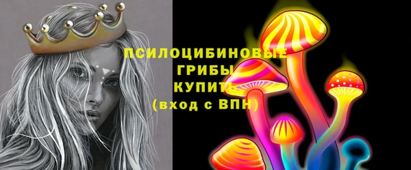 ешки Бронницы